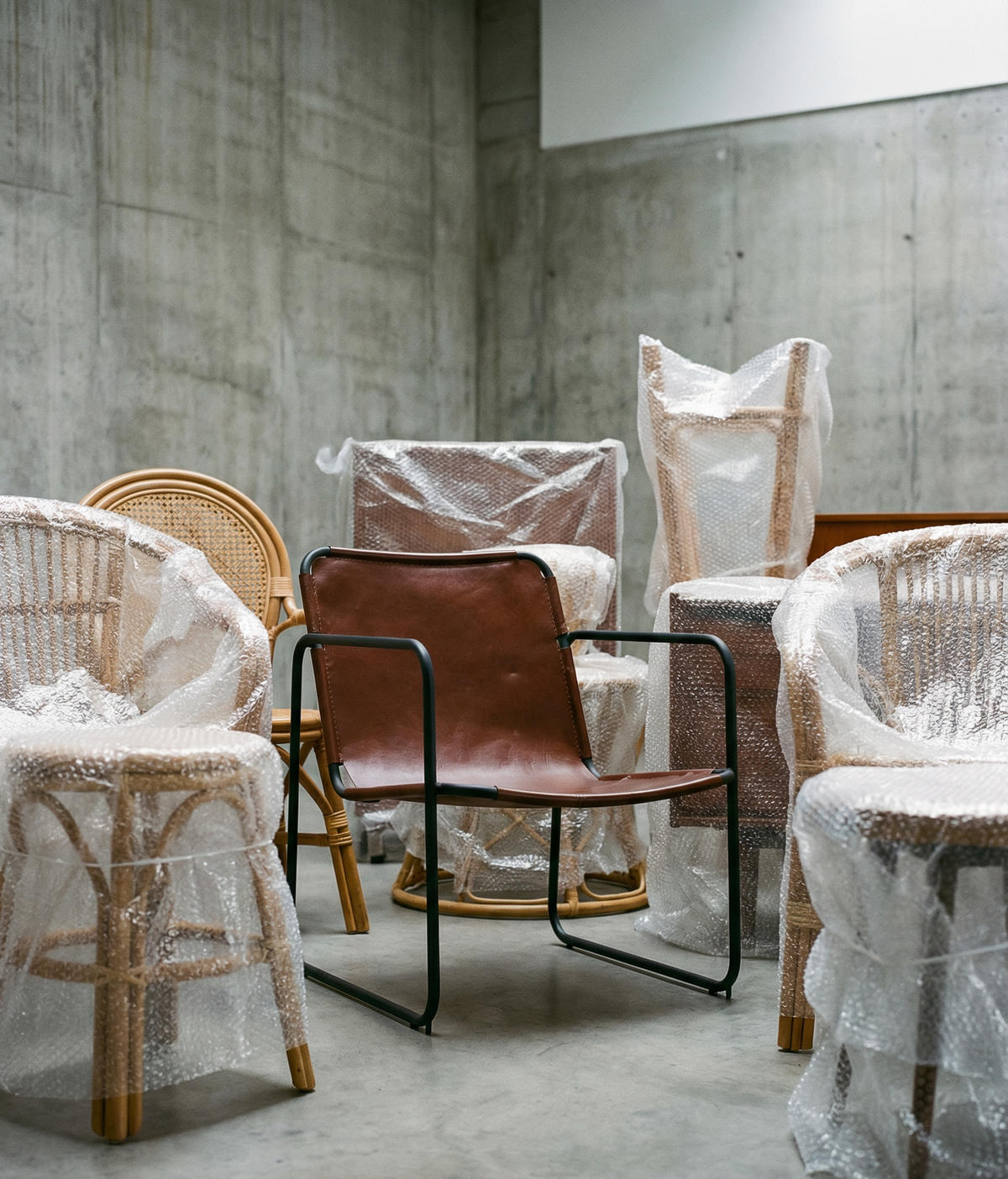 Collection - Clearance