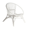 image of berkeley chair front